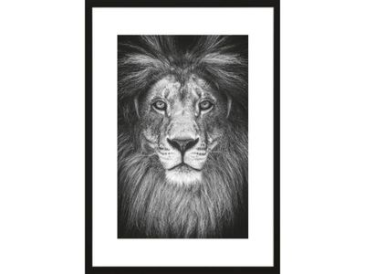 fotolijst livorno zwart 70x100 cm