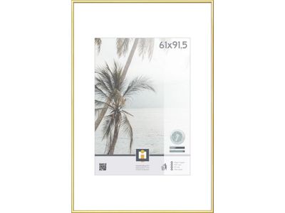 fotolijst kyoto goud 61x91,5 cm