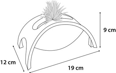 Ps roller crazy bridge