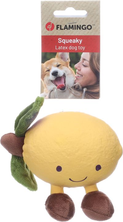 Hondenspeeltje citri citroen l