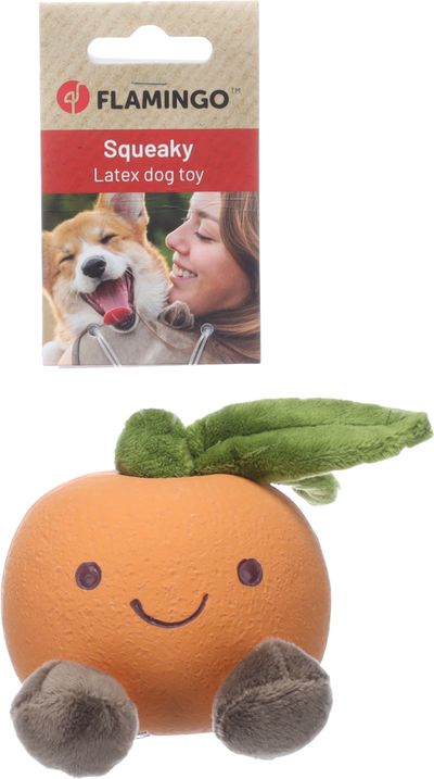 Hondenspeeltje citri appelsien l
