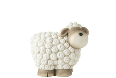 Schaap