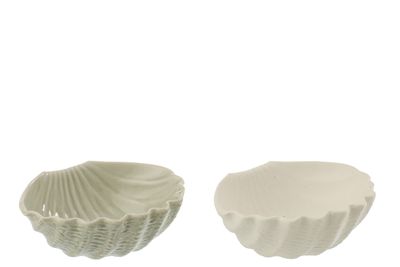 Coquillage grès