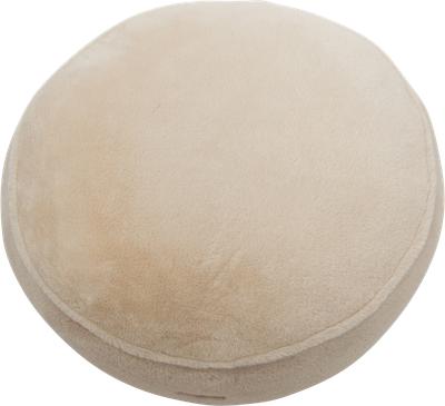 Hondenkussen champs-elysees