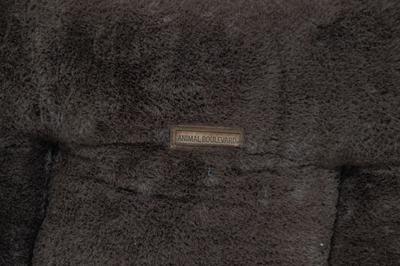 Hondenmand champs-elysees