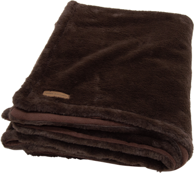 Hondendeken champs-elysees