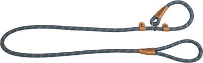 Hondenleiband schoollijn leash 15mmx180