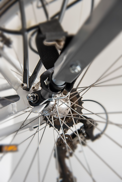 Remorque à vélo animaux de compangnie 2 en 1