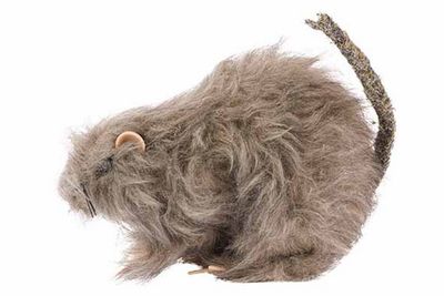 Rat poilu