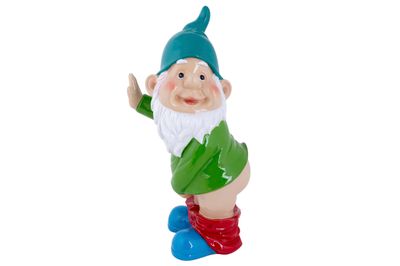 Kabouter funny no pants multikleur 14x17