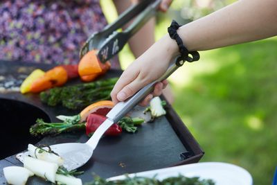 Premium plancha spatel