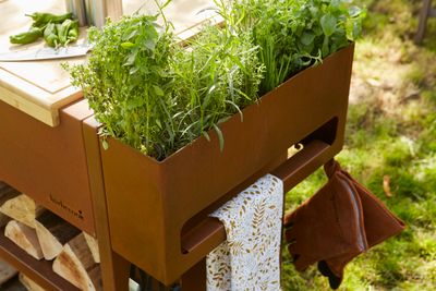 Buddy pour Nestor acier corten