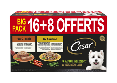 Cesar alu 2 variaties 16+8 gratis