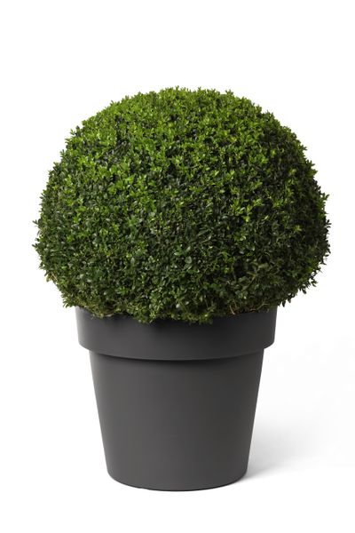 Pot rond happy met wielen 60h 51 antraciet