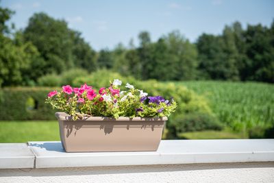 Bloembak relax 60cm taupe