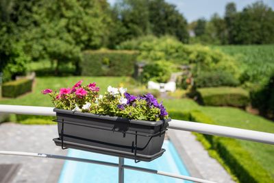 Bloembak relax 50x20h16 antraciet