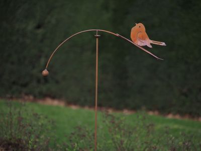 Balans vogel