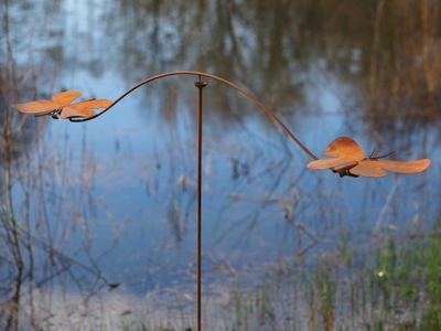 Balance papillon