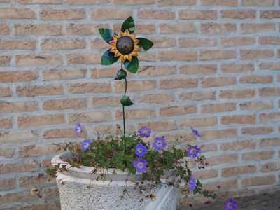 Kleine zonnebloem windmolen