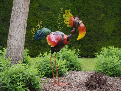 Oiseau moyen coloré