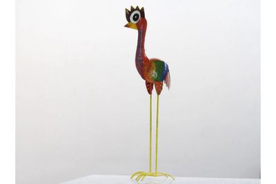 Emu vogel - middel