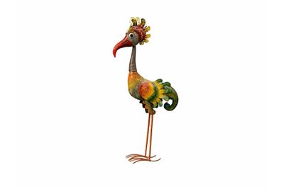 Funny bird