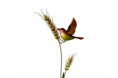 Vogel op riet