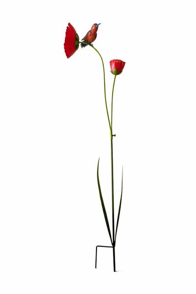 Vogel op bloem