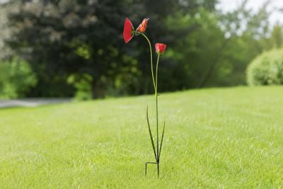 Vogel op bloem