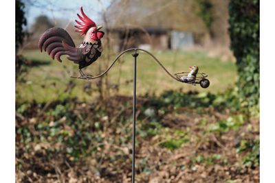 Tuinsteker haan met vogelnestje