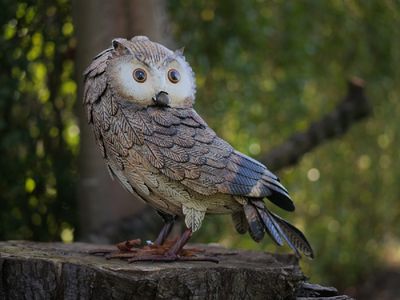 Hibou