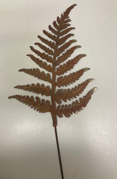 Pic de jardin fougère