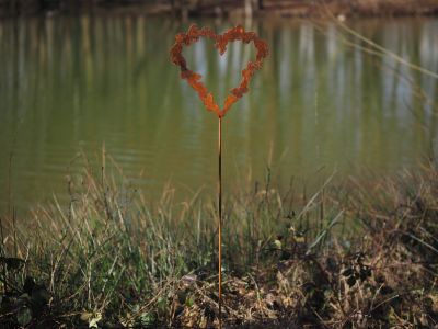 Pic de jardin papillons sur coeur
