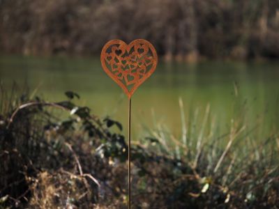 Tuinsteker hartje 16x50cm