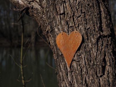 Coeur à suspendre avec corde