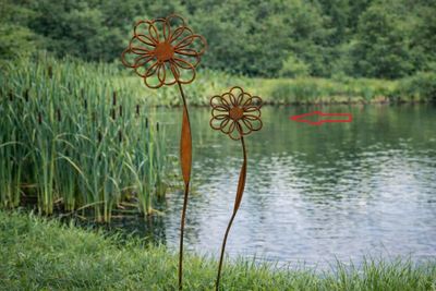 Tuinsteker bloem margriet - klein