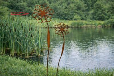Tuinsteker bloem margriet - groot