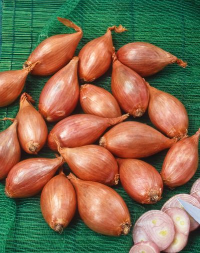 Franse plantsjalot jermor 15/35 500g
