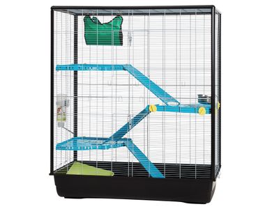 Kooi Zeno3 Empire 100cm