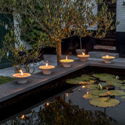 Citronellakaars in witte schaal - Asian Garden