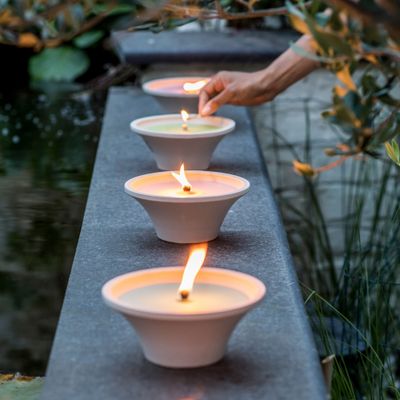 Citronellakaars in witte schaal - Summer Blossom