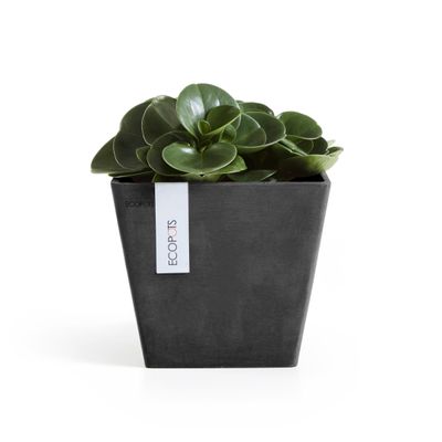 Pot de fleurs rotterdam 20 
