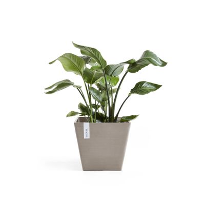 ECOPOTS ROTTERDAM Taupe 40