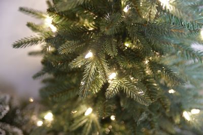 Everton pe burlap base 61cm 50l