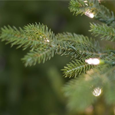 Sapin de noël buckingham 213cm 650 led