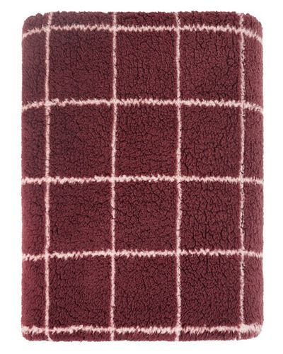 Plaid Teddy Bruin