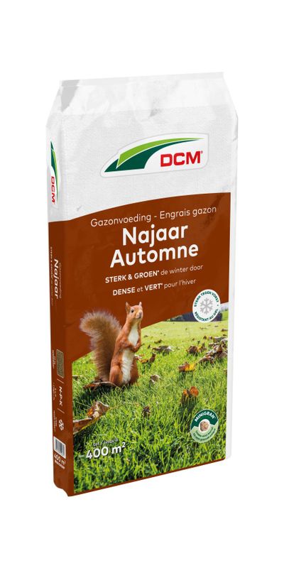 Engrais Gazon Automne