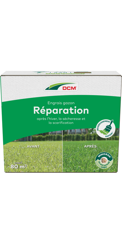 Gazonvoeding Herstel