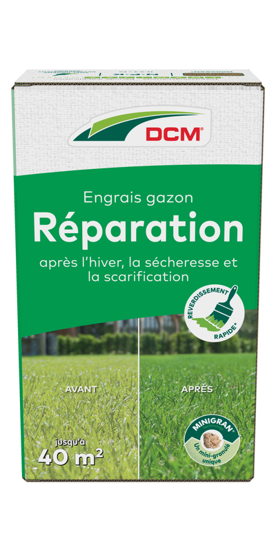 Gazonvoeding Herstel