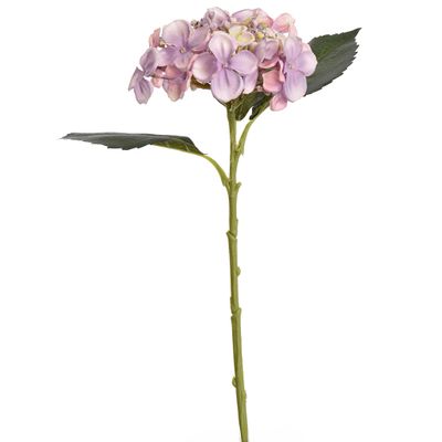 Hydrangea lila 45 cm